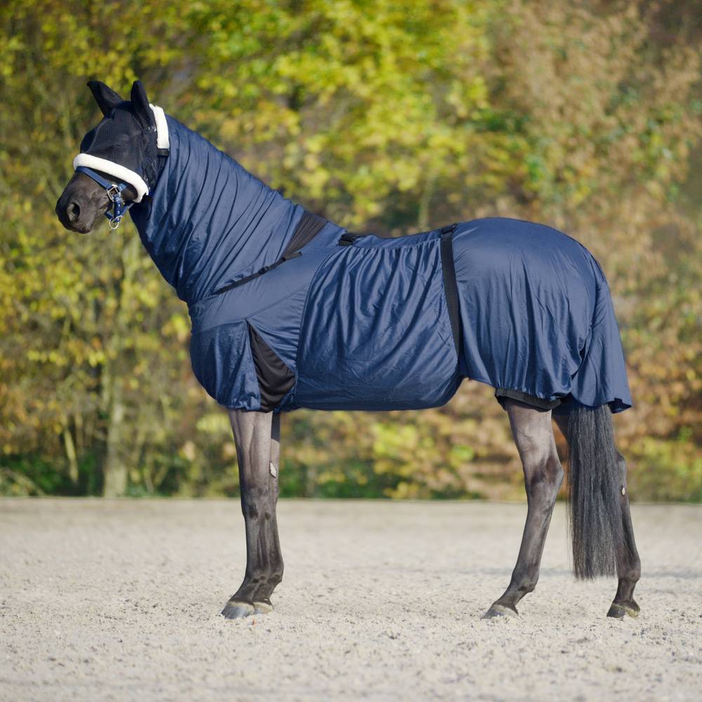 Chemise anti-dermite complète pour chevaux et poneys