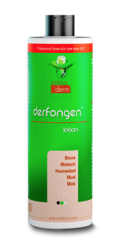 DERFONGEN Lotion Anti-gale de boue