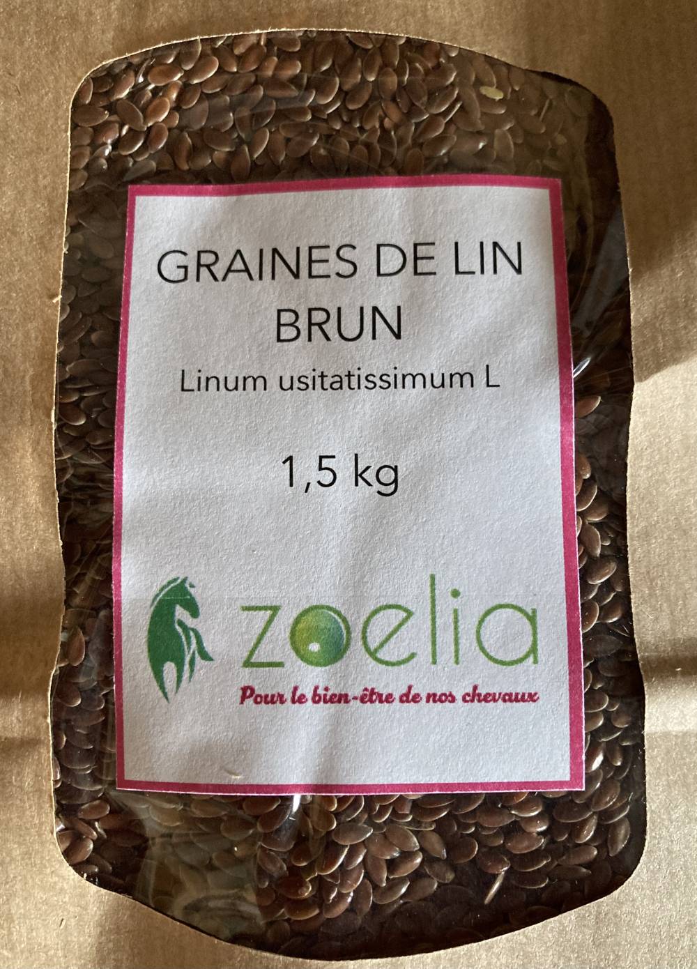 GRAINES DE LIN BRUN